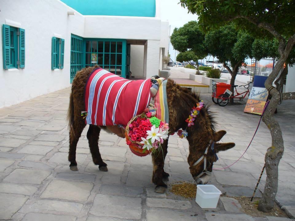 Mykonos Holidays @ Club Mykonos Langebaan Exteriör bild